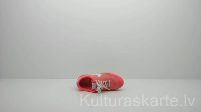 100 klusās dabas, 2013